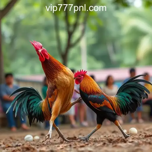 VIP Service 777PNL Online Casino Philippines - 24/7 Support and Exclusive Benefits